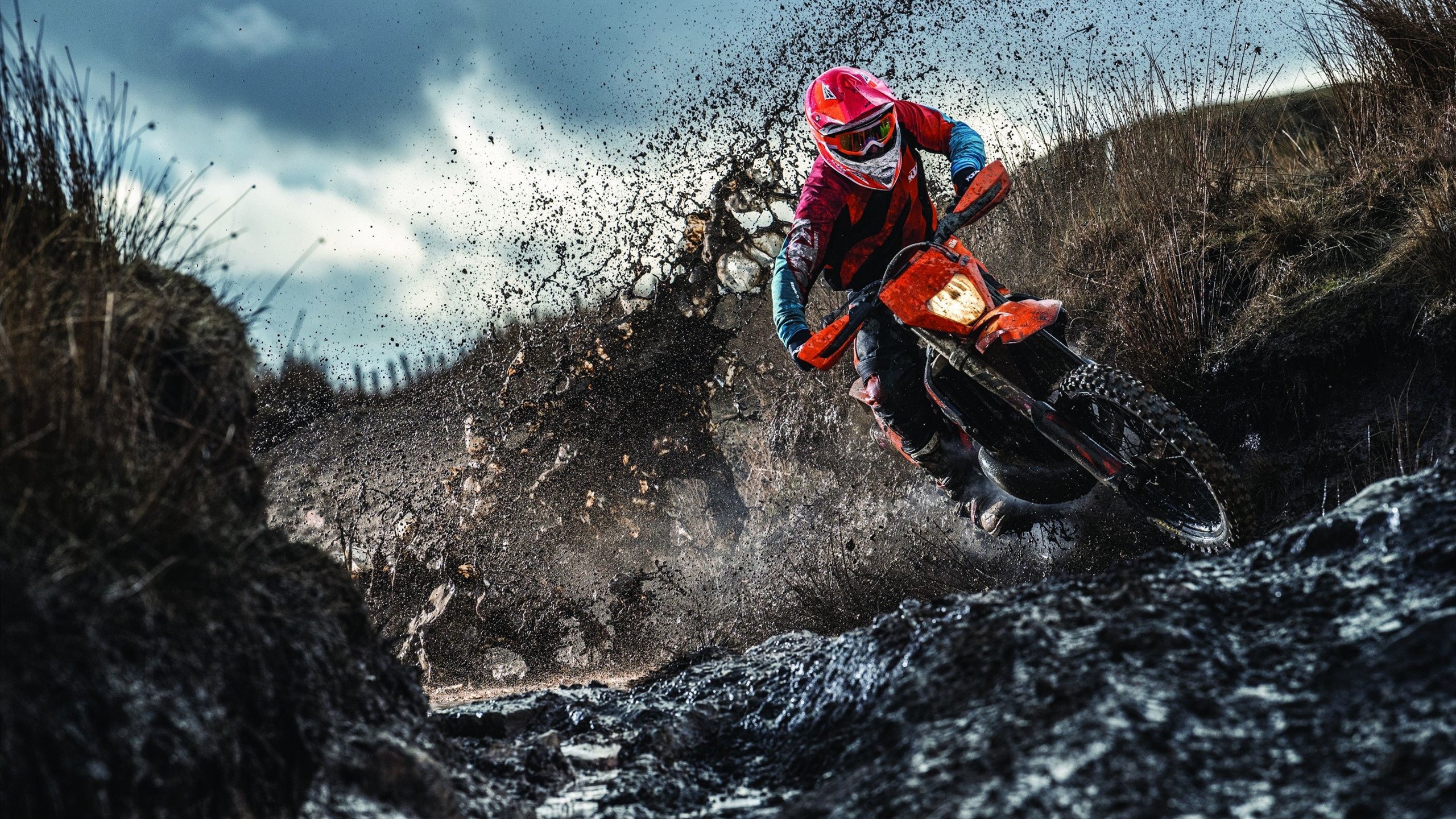 体育社交App用户行为路径与交互机制研究，体育用户特点