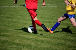 星空体育app官网入口-NBA球员训练计划个性化设计，nba球员训练视频,篮球技术