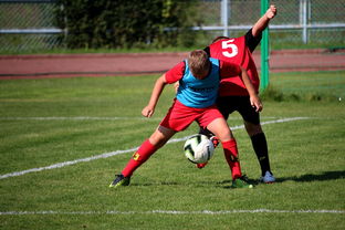 星空游戏平台-中国足球俱乐部运营效率调查，中国足球俱乐部运营效率调查问卷