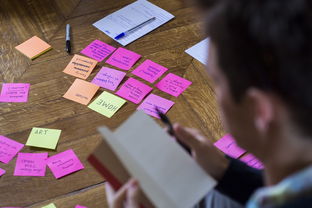 星空电竞登录-体育公益项目社会影响力研究，关于体育的公益项目